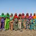 Reversing land degradation can ‘pre-empt and manage’ conflicts |