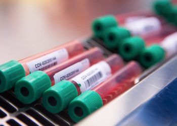 Global solution to COVID-19 in sight, ‘we sink or we swim together’ – WHO chief |