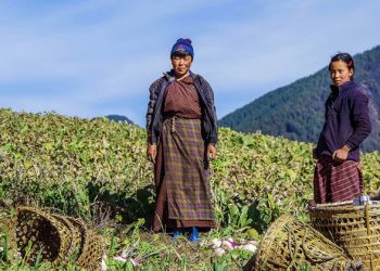 FROM THE FIELD: Protecting the post-pandemic planet