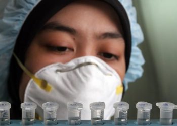 Updated influenza vaccine advice targets protection of elderly and health workers |