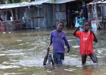 Flooding leaves South Sudan facing threat of ‘catastrophic’ hunger levels  |