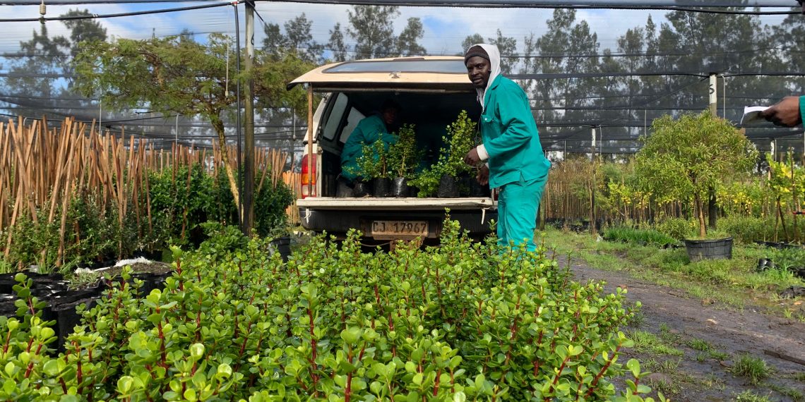 New Location, New Perspectives: Hearing from African Voices in the Restoration Movement