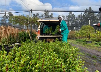 New Location, New Perspectives: Hearing from African Voices in the Restoration Movement