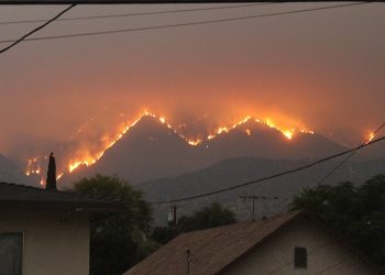 2020 US Fires and the Climate Feedback Loop