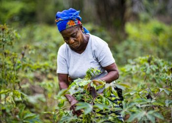 Rural Women Must Be at the Heart of COVID-19 Response and Recovery