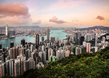 Forests Help Manage Urban Water Supplies