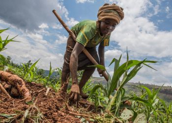 Annual report: Pandemic recovery must be measured in ‘human rather than economic terms’ |