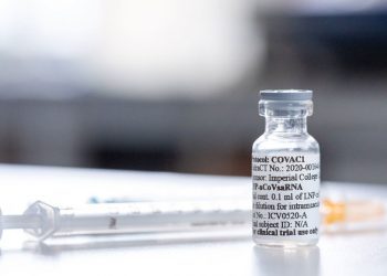 China joins global effort to ensure COVID vaccine access for all |