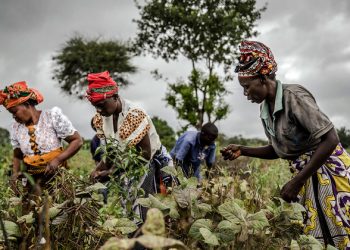 LIVE: World Food Day |