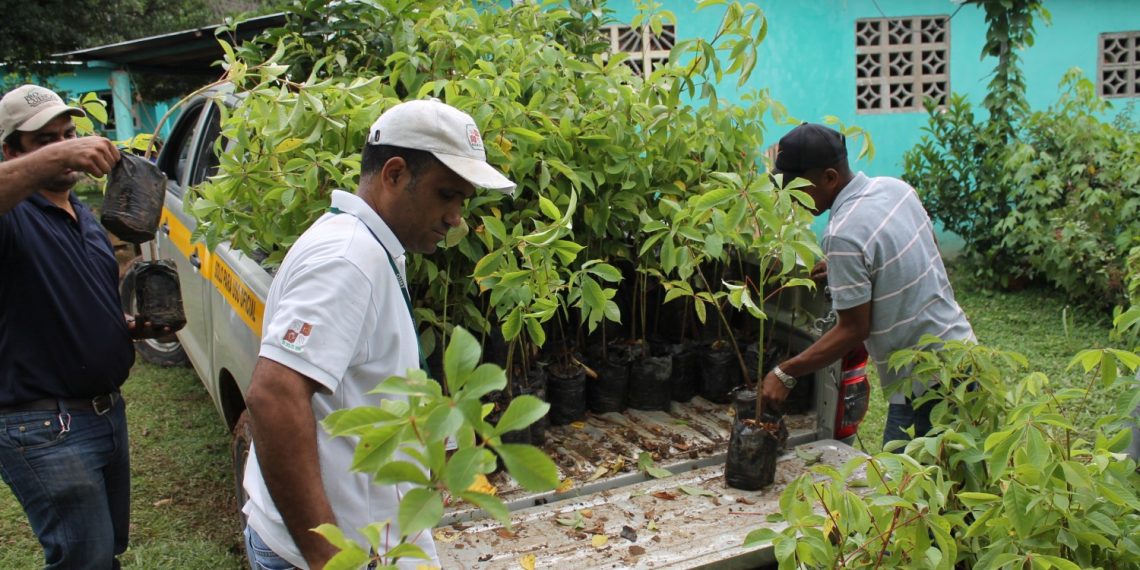 How to Effectively Restore Landscapes in 3 Steps