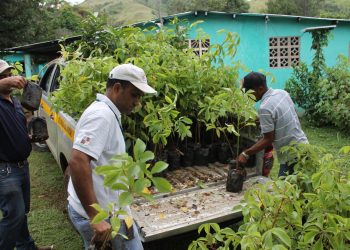 How to Effectively Restore Landscapes in 3 Steps