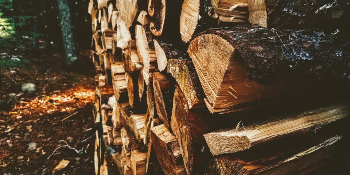 Bringing New Life to Fallen Urban Trees