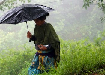 COVID disruption will ‘pale in comparison’ if world fails to act on climate change, SDGs |