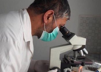 Silent Pandemic: Overuse renders antimicrobials less effective – UN agriculture agency |