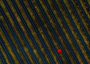 The race to zero emissions, and why the world depends on it |