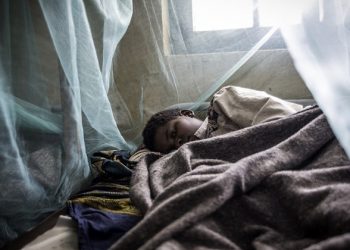 COVID-19 threatens global progress against malaria, warns UN health agency | Global malaria gains threatened by access gaps, COVID-19 and funding shortfalls: WHO