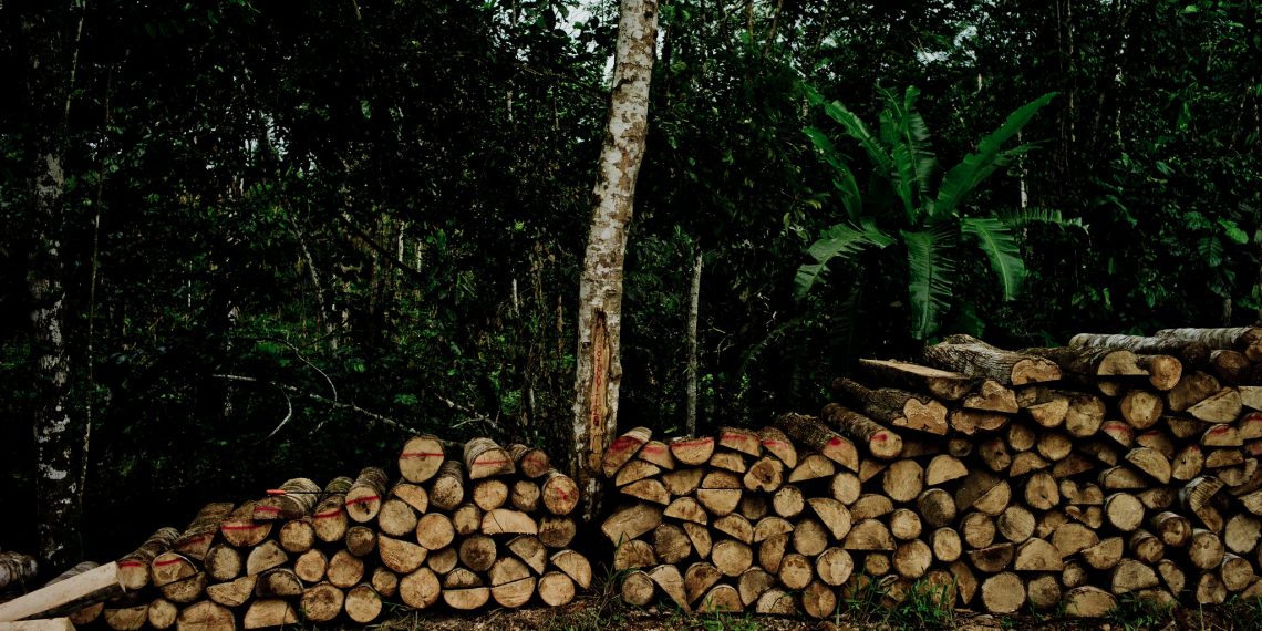 Progress Must Speed Up to Protect and Restore Forests by 2030