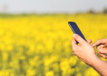 How Robots Could Change the Environmental Impact of Agriculture