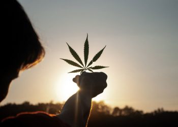 UN commission reclassifies cannabis, no longer considered risky narcotic |