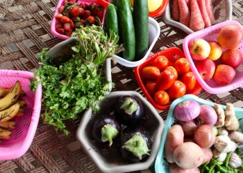 Fruits and vegetables crucial for healthy lives, sustainable world: Guterres |
