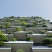 The Role of Living Walls in Sustainable Building