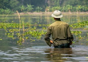 5 Keys to a Climate Resilient Recovery