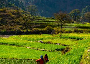 Putting People at the Center of India’s Land Restoration Efforts
