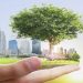 How Technology Can Help In Environment Sustainability?