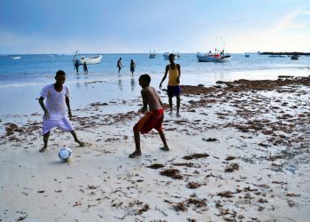 State of the ocean will ‘ultimately determine the survival of our species’: UN Special Envoy |