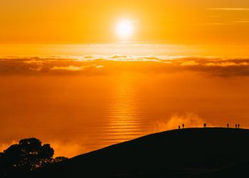 2020, one of three warmest years on record: World Meteorological Organization  |