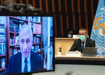 Fauci announces US intention to resume major role in global health |