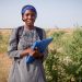 FROM THE FIELD: The microscopic creatures helping build Africa’s Great Green Wall