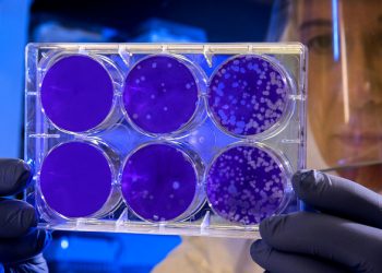 Follow the science: UN plans for a stronger pandemic recovery |