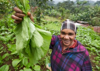 FROM THE FIELD: Celebrating the power of centuries-old farming techniques |