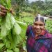 FROM THE FIELD: Celebrating the power of centuries-old farming techniques |