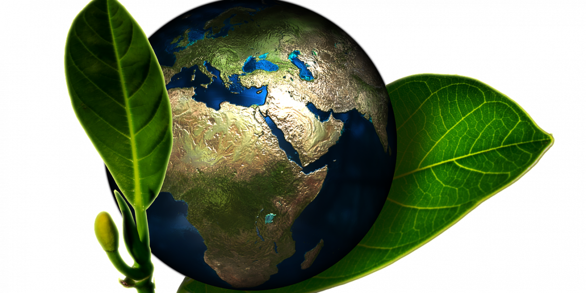 US rejoins Paris Agreement – Renewable Energy World