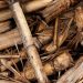 The Relationship Between Trees and Clean Energy