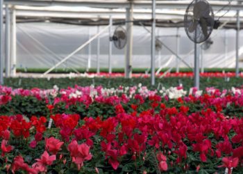 DOE and NREL launch spring 2021 geothermal collegiate competition