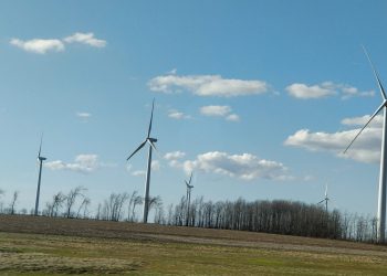 Clir Renewables selected to optimize Africa’s largest wind farm