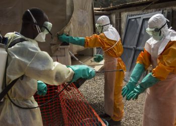 Three die as new Ebola outbreak declared in southern Guinea |