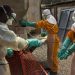 Three die as new Ebola outbreak declared in southern Guinea |