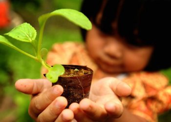 First Person: ‘The world is in your hands and begins at your door’. |