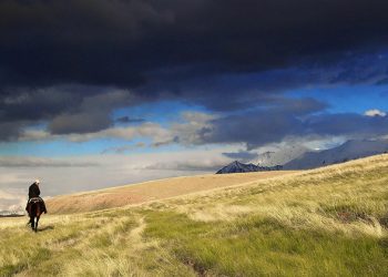 UN offers science-based blueprint to tackle climate crisis, biodiversity loss and pollution |