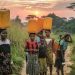 World risks ‘collapse of everything’ without strong climate action, Attenborough warns Security Council |