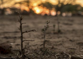 UN climate report a ‘red alert’ for the planet: Guterres |