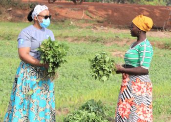 FROM THE FIELD: Adapting to survive and thrive in Ghana |