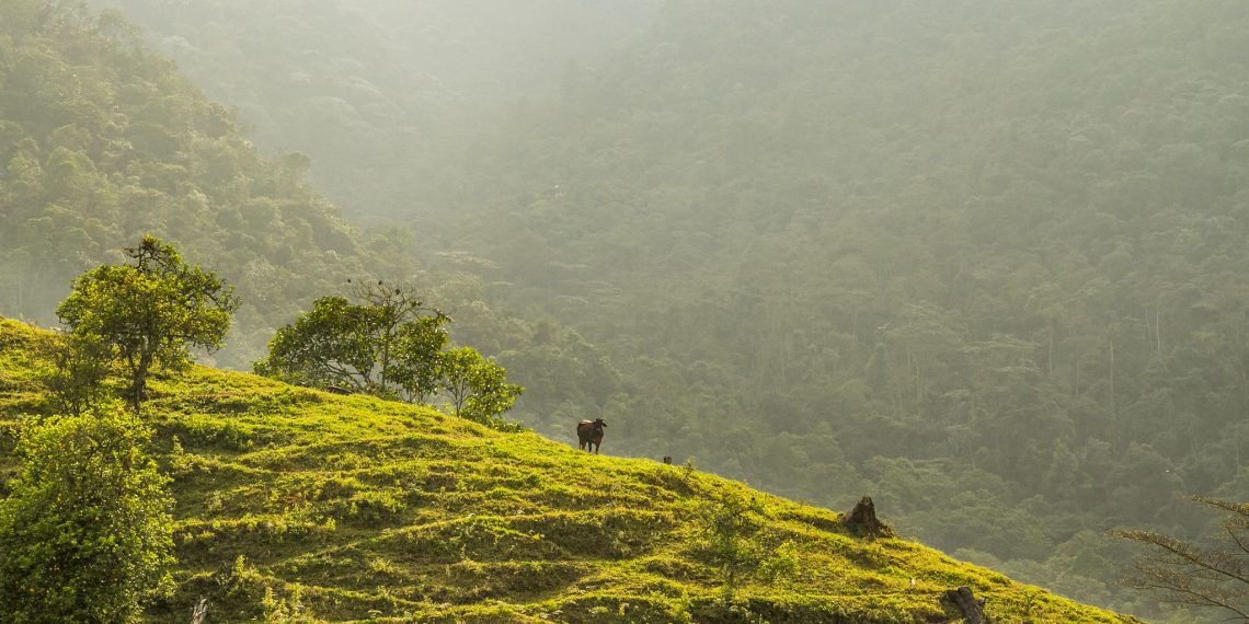 Colombia Shows Leadership in the Race Against Climate Change