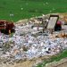 UGI Utilities to distribute renewable natural gas from Pennsylvania landfill