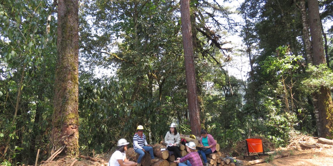 5 Lessons for Securing Women’s Collective Land Rights