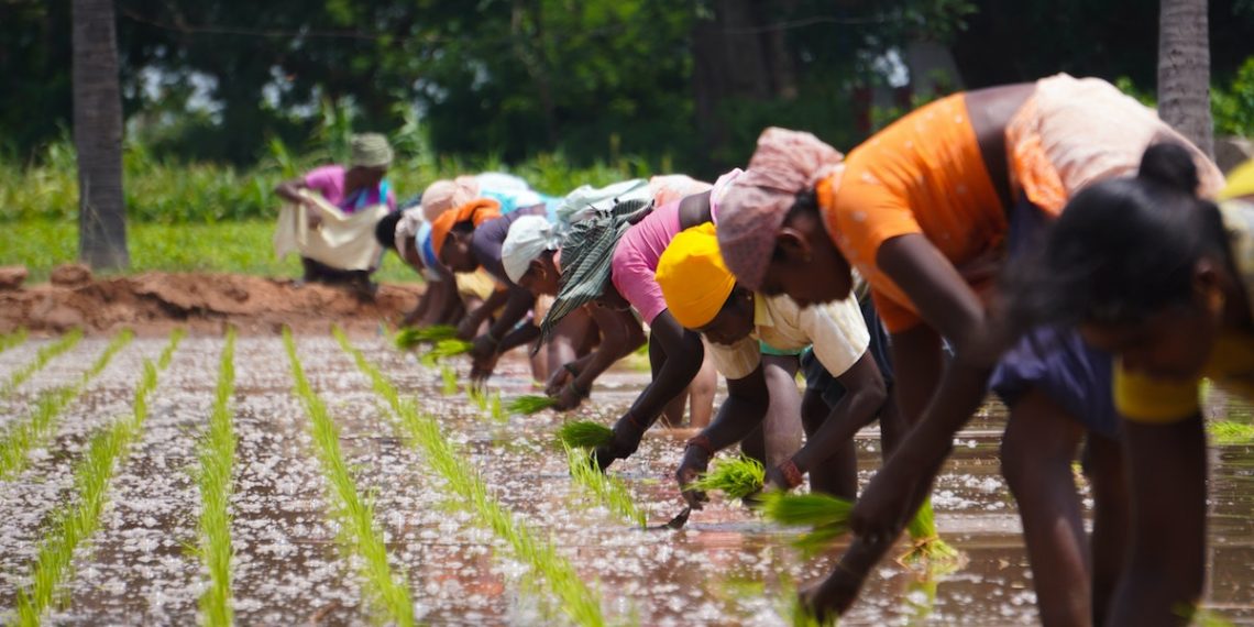 4 Urgent Actions Towards a More Sustainable Food System
